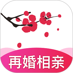 贝蒂斯官方：贝莱林右腿筋中度损伤，归期未定